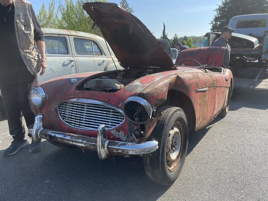 Austin-Healey with hood open for diagnosis